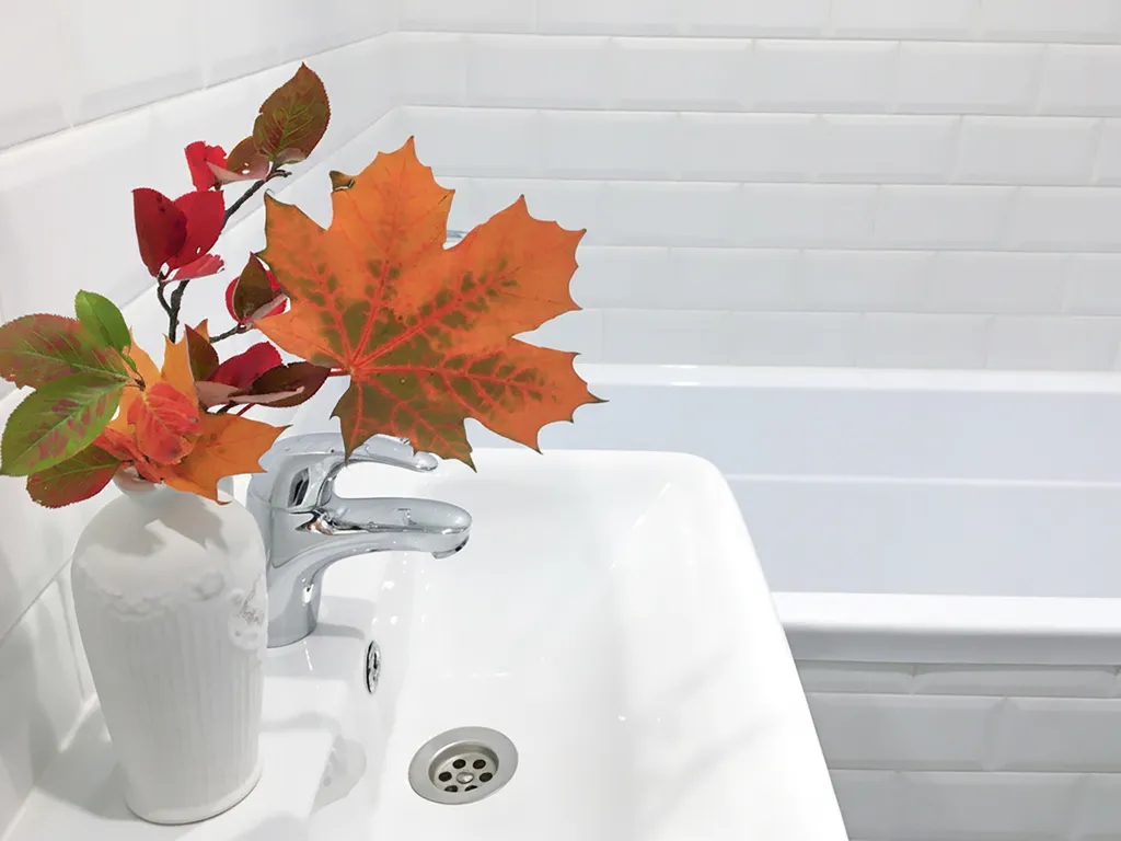 Студия карельский лось с видом на озеро