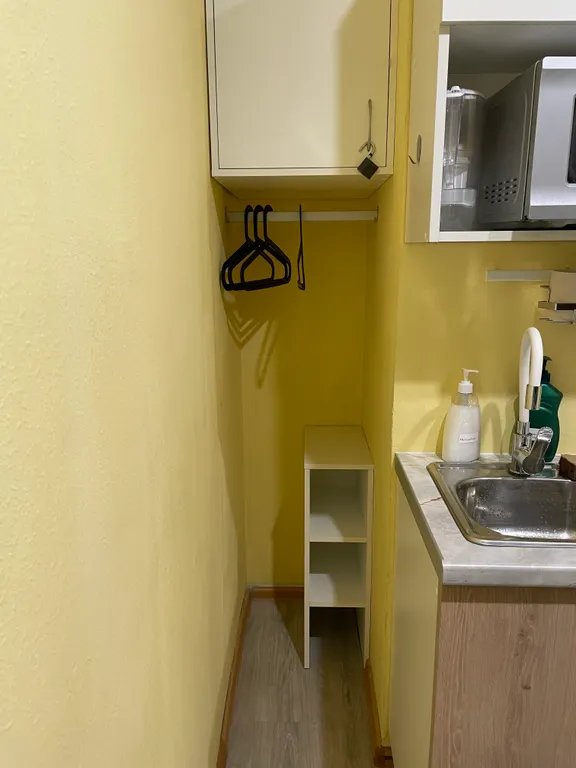 В гостях у гуся