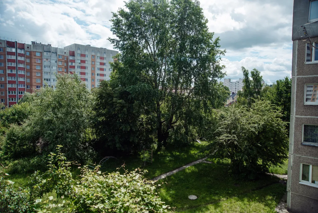 Квартира Уютная квартира рядом с Летнем озером — Калининград