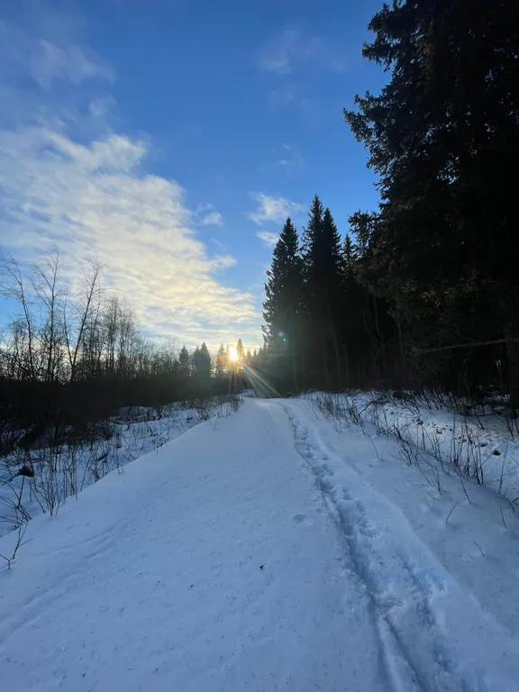 Домик для семейного отдыха в лесу