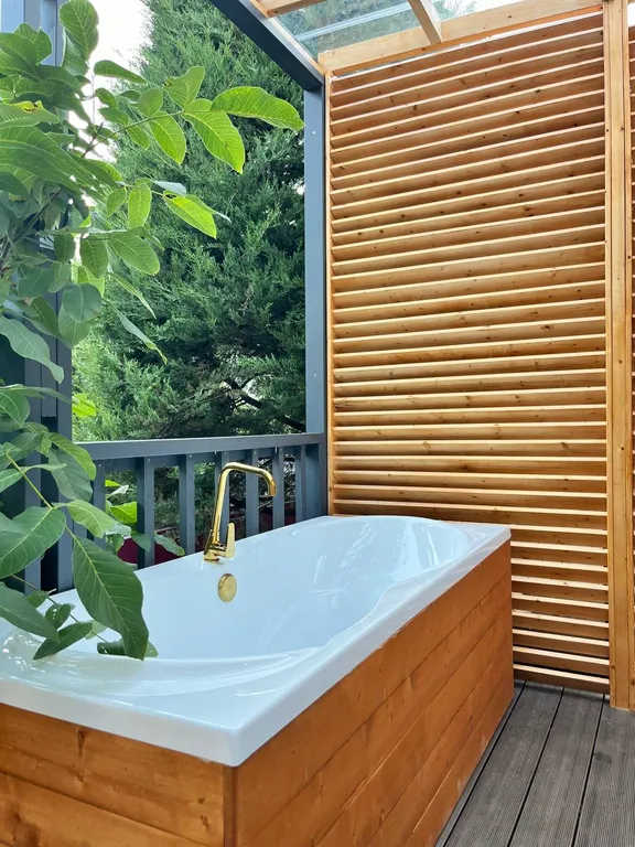 Дом-студия с купелью и домашним кинотеатром