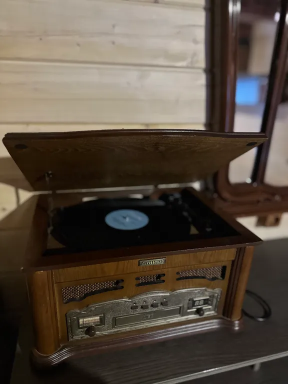 Просторный деревянный лесной дом с двумя спальнями