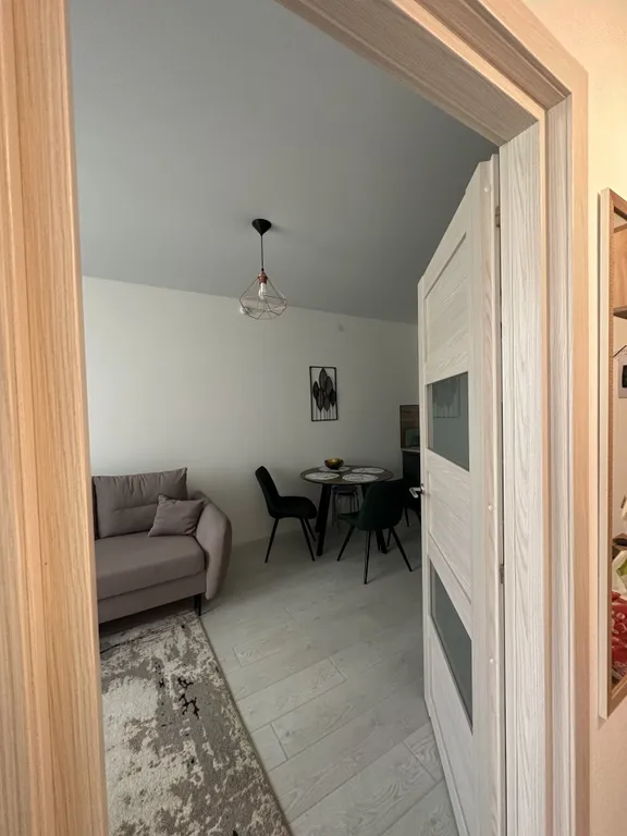 Квартира Квартира Уютная евродвушка — Светлогорск