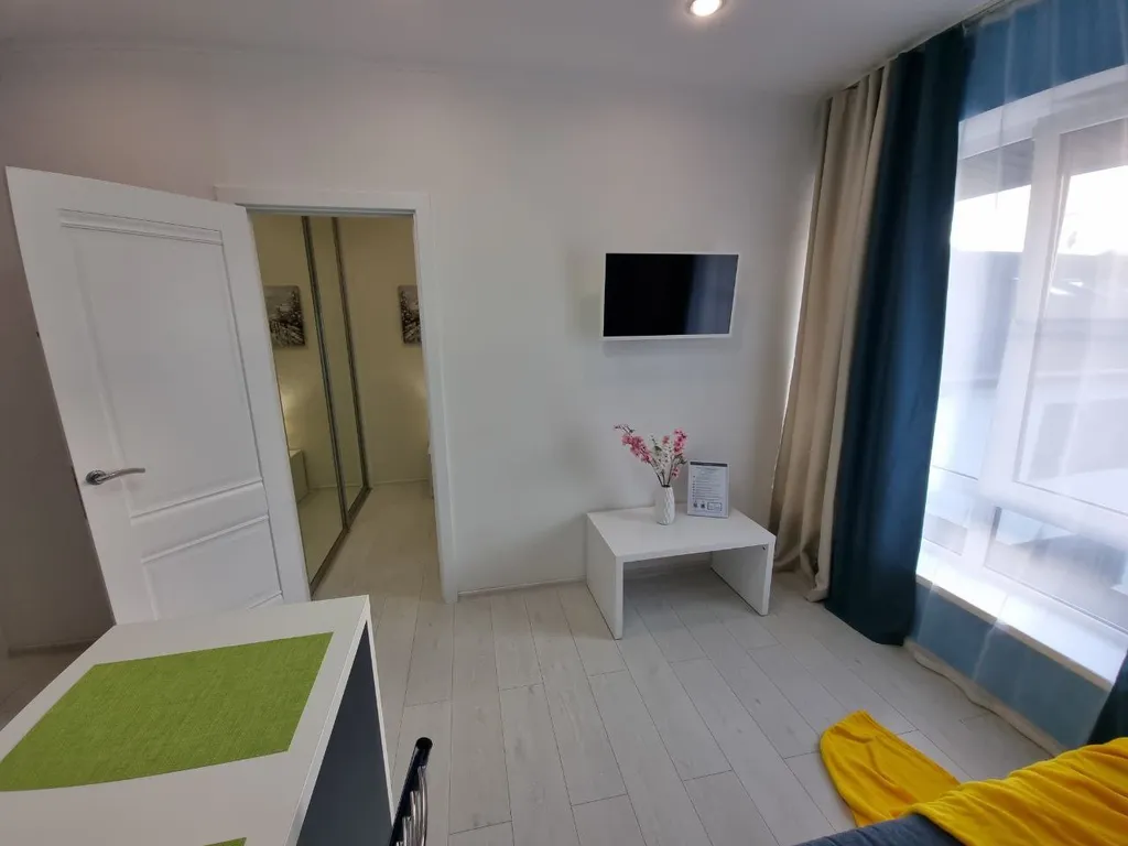 Квартира 1-комнатная квартира — Сириус