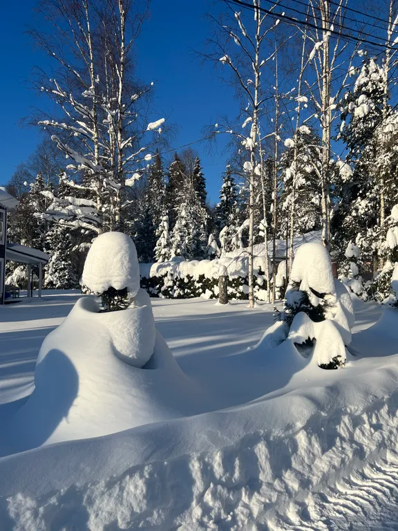 Дом берендей