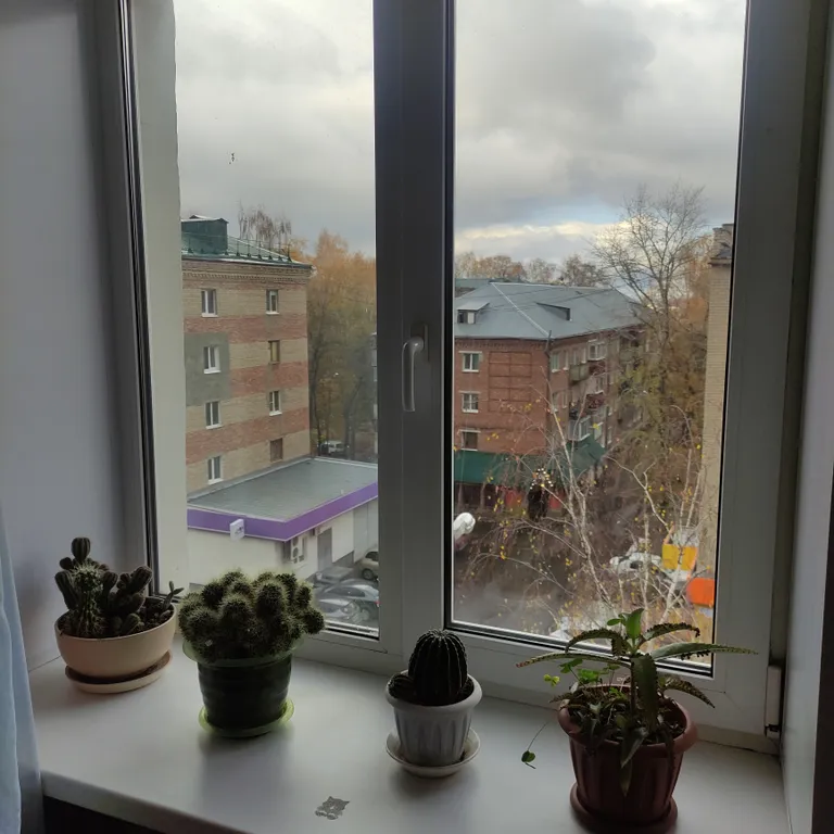 2-комнатная квартира на Западной поляне