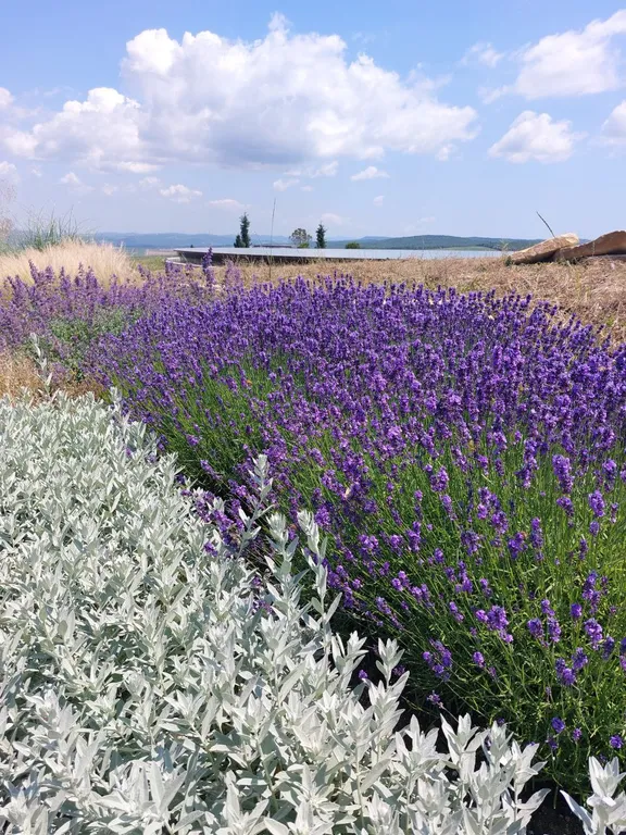 Квартира 1-комнатная Квартира — Анапа