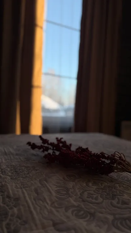 Гостевой дом - Bereza House