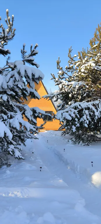 Современный дом в сосновом лесу в 30 минутах от аэропорта