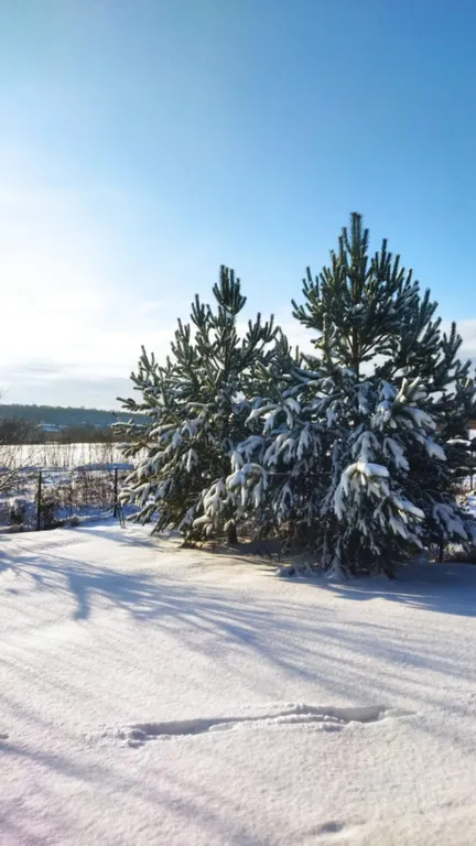 Уютный коттедж до 10 гостей с удобной локацией для торжеств и отдыха