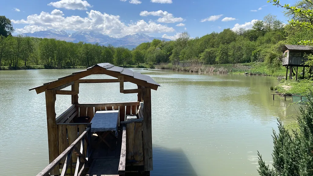 Деревенский домик в лесу