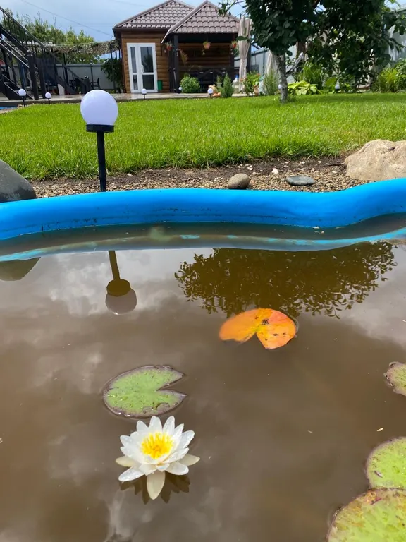 Комната на берегу моря