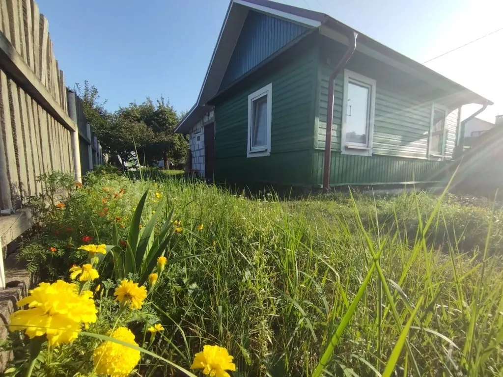 Маленький зеленый домик