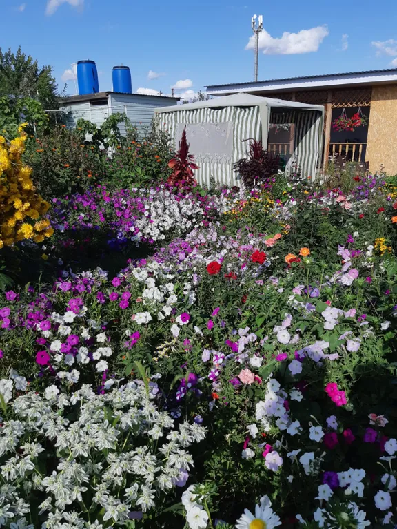 Двухместная комната с отдельным входом, эконом