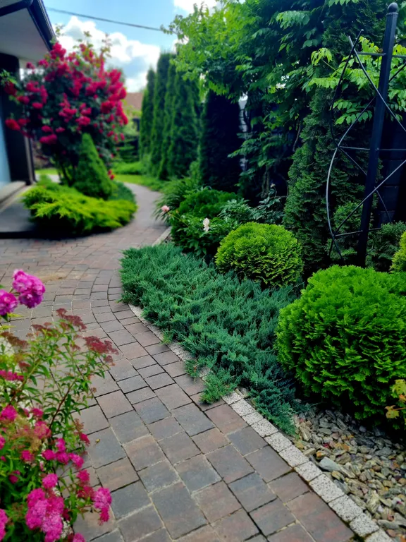 Brest dream garden. Атмосферный гестхаус с шикарным видом на лес