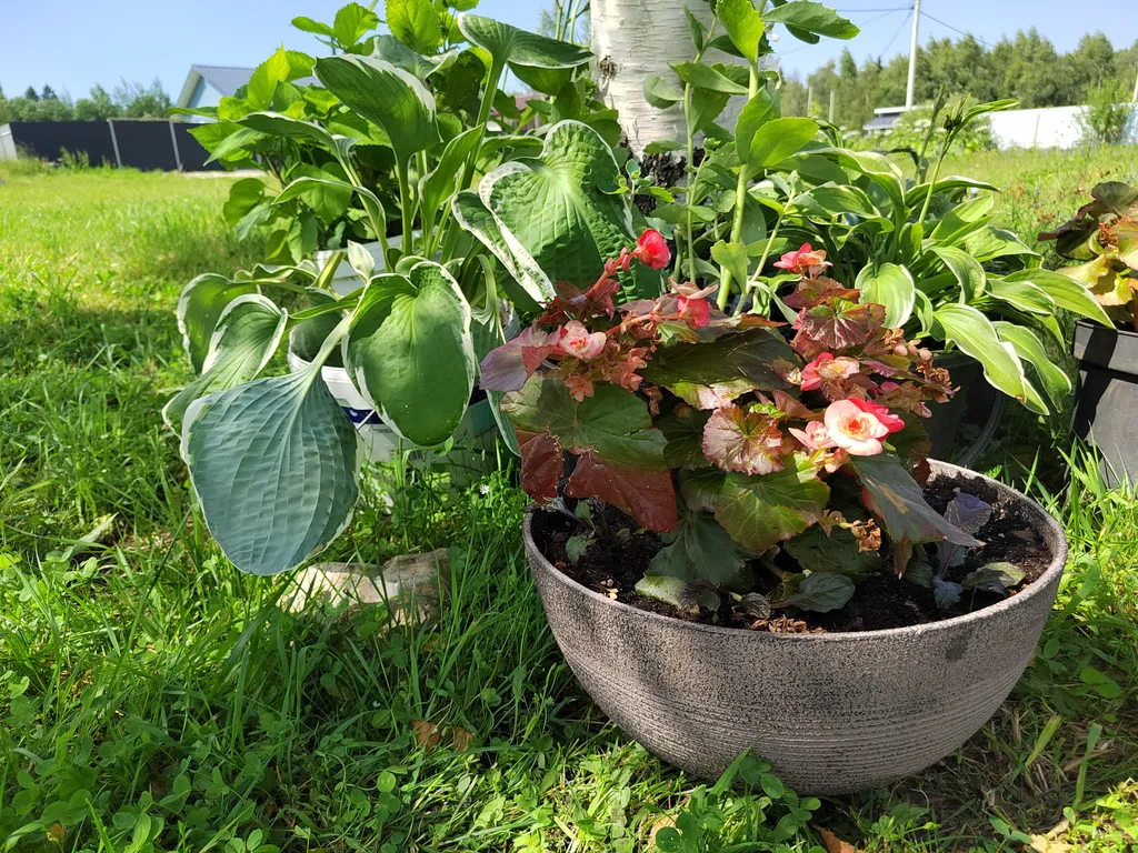 Коттедж Домик с видом на закат — Селинское