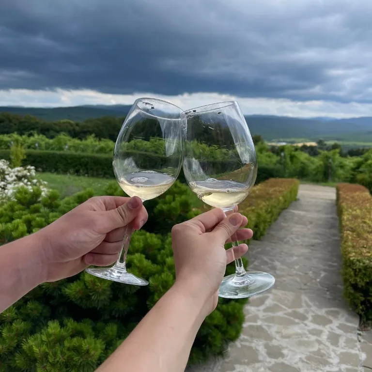 Собер Дача - частный дом рядом с лесом и винодельней