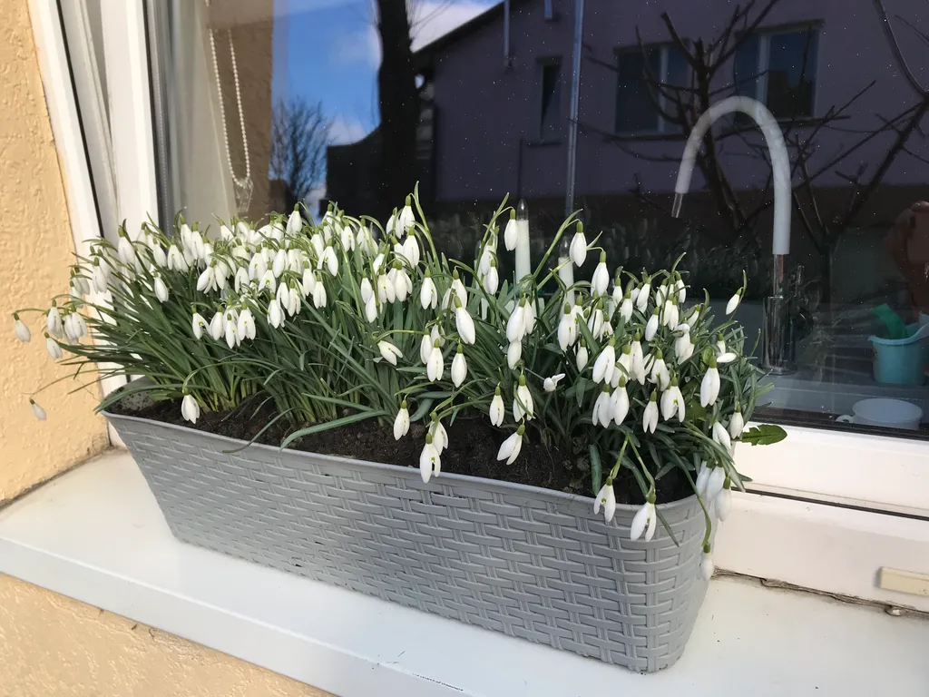 Квартира-студия с отдельным входом с парковкой