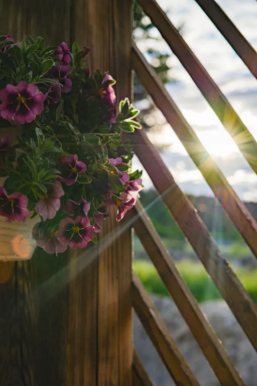 Теплый уютный дом Soul house