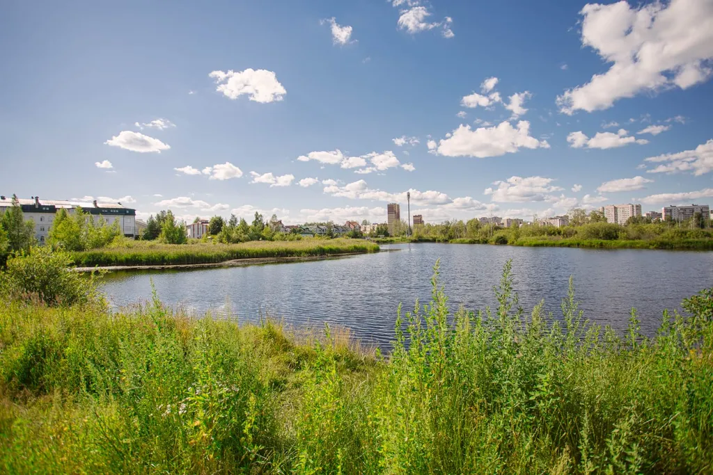 Уютная квартира в экологически чистом районе, рядом с шикарным озером