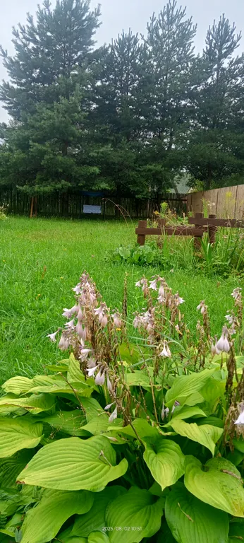 Уютный домик за городом