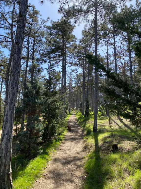 Квартира Квартира Уютная студия Элегия с видом на море — Севастополь