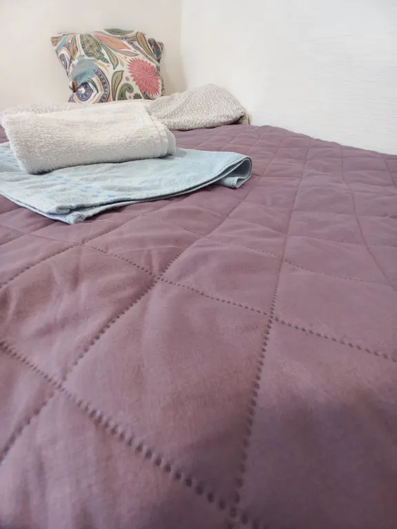 Квартира Квартира в Песочном рядом с НИИ Петрова — Песочный