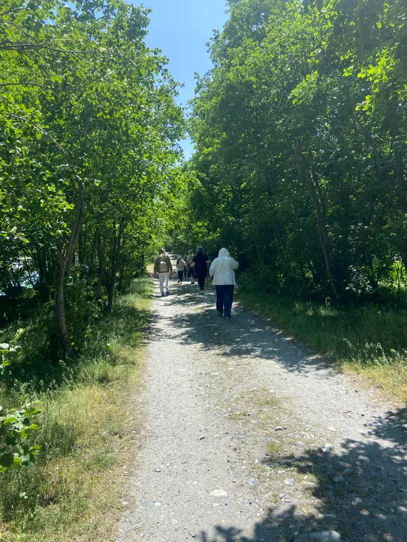 Домики у реки Теберда