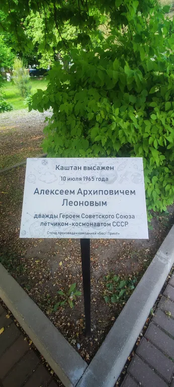 Квартира Квартира в районе Ратсхоф — Калининград