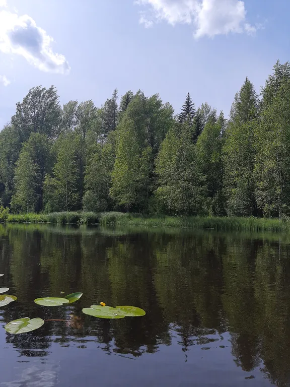 Уютный домик-студия на склоне холма у реки