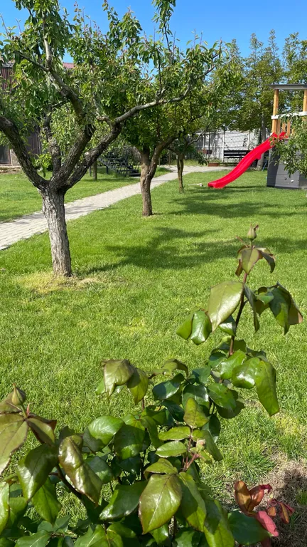 Апартамент веранда