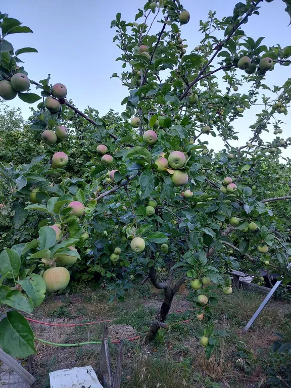 Коттедж Дом на море — Геленджик