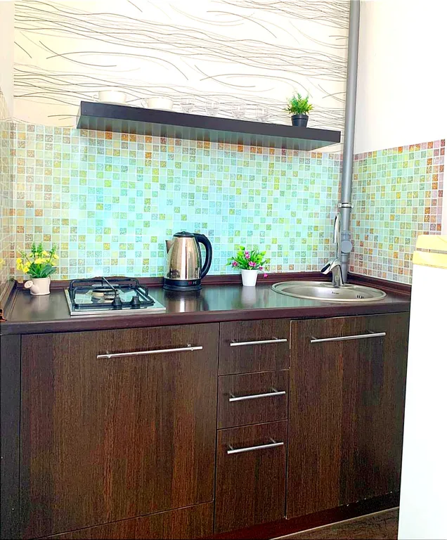 Новые апартаменты в центре с видом на пруд