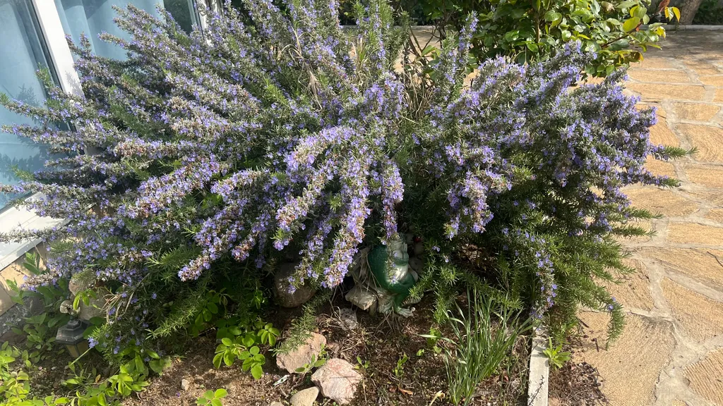 Дом-дача для семейного отдыха