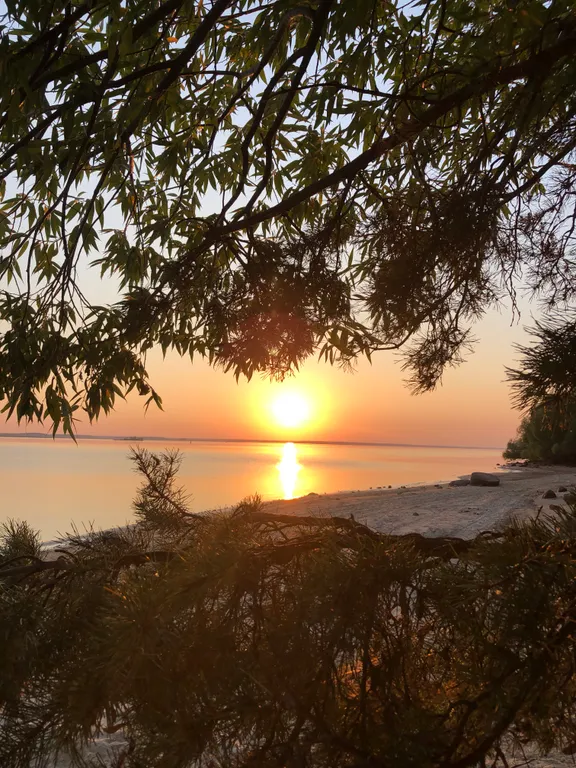 Уютный домик в лесу