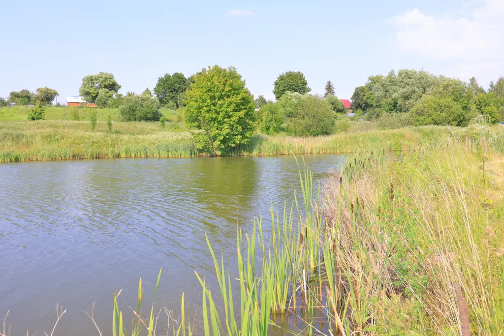 Коттедж в стиле шале