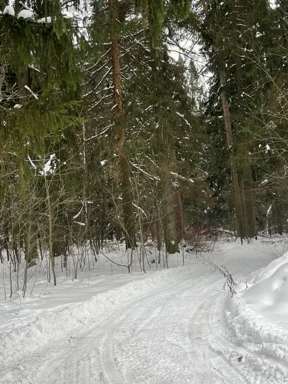 5-ти комнатный гостевой дом