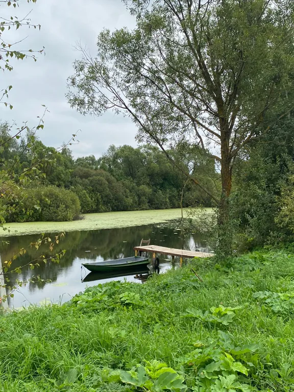 Коттедж Первый этаж уютного дома и банька на дровах — Семеновское