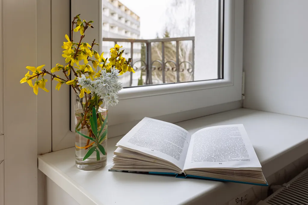 Квартира 1-комнатная Квартира — Светлогорск