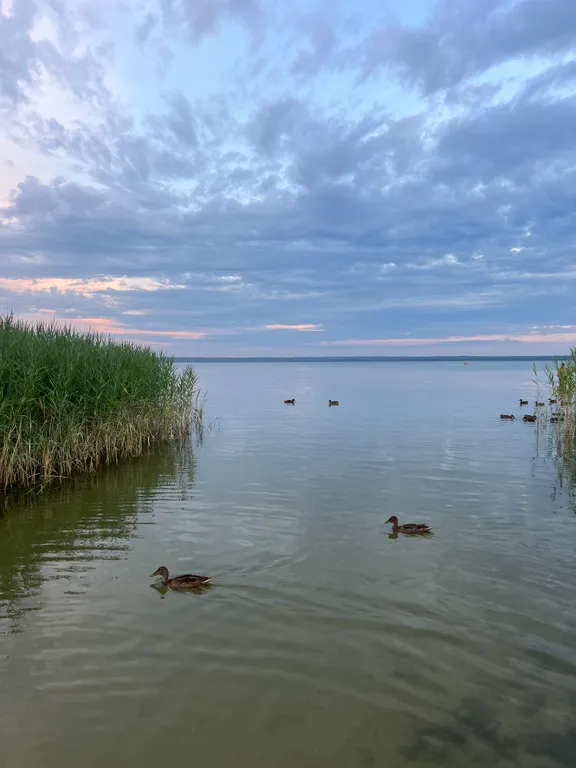 Дом Плещеево