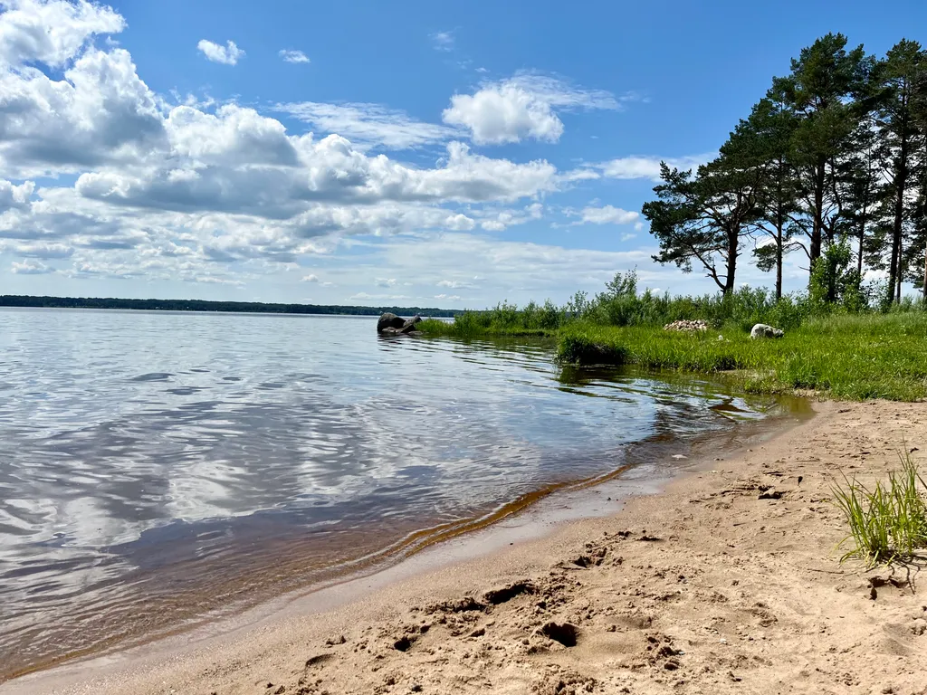Коттедж Коттедж на озере Волго на Селигере в сосновом бору — Турбаза Чайка