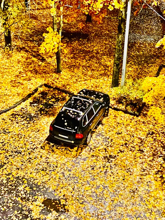 Квартира 2-комнатная Квартира — Пушкин