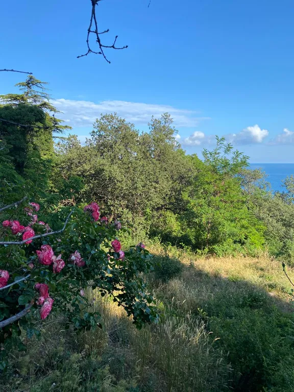 Студия с видом на море