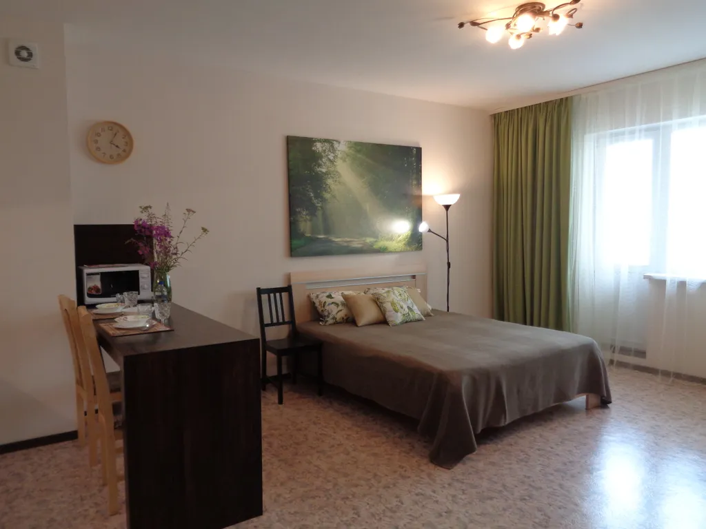 Уютная студия рядом с Политехом