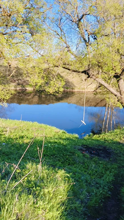 Коттедж Уютный домик у реки — Можайск