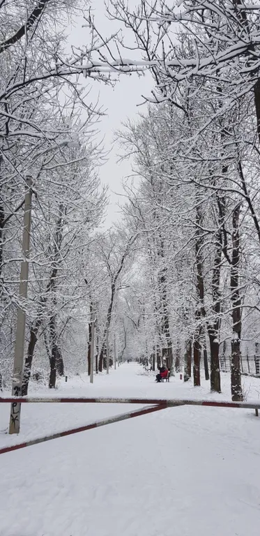 Квартира в лучшей локации города