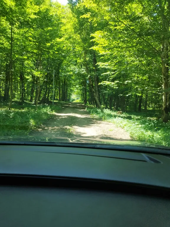 Уютный модульный домик в горах