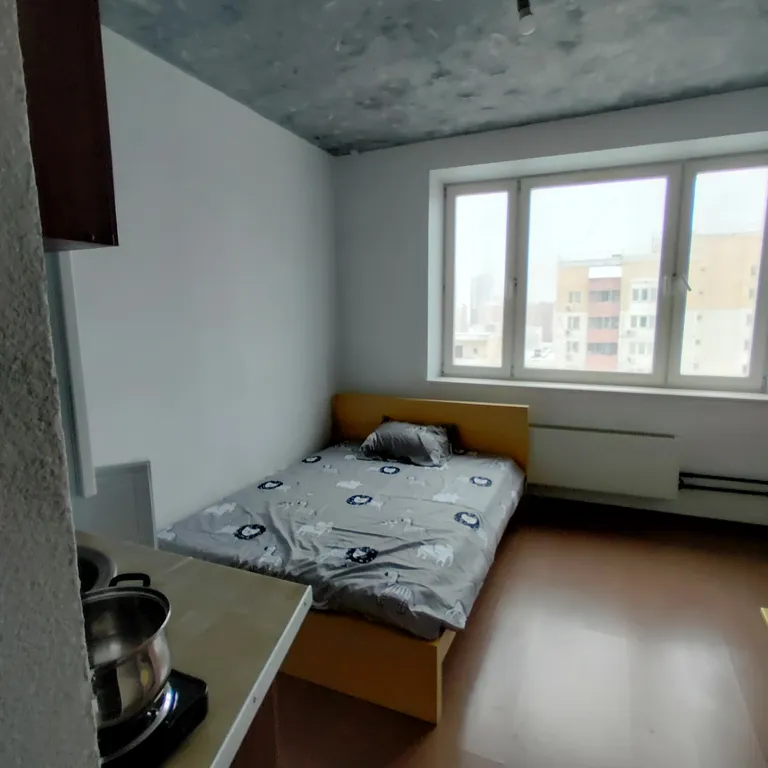 Квартира Студия в квартире с персональным санузлом и кухонным блоком — аренда посуточно в Красногорск