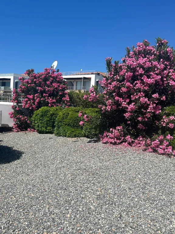 Уютная квартира на берегу моря с видом на горы