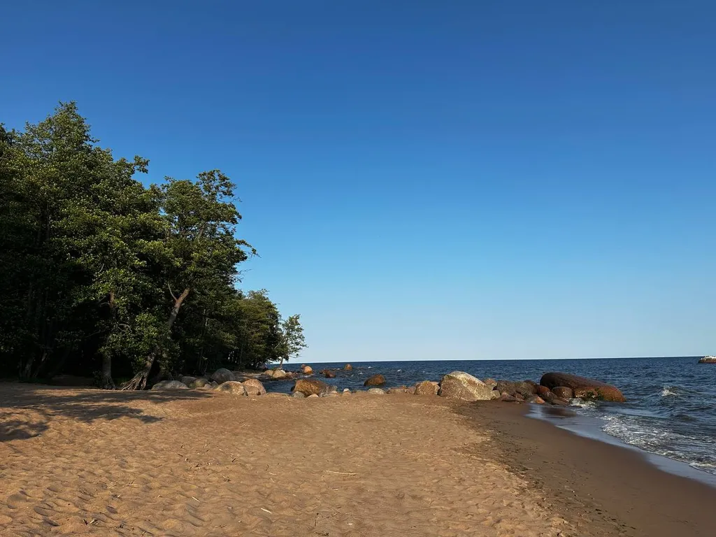 Дом с баней и зоной отдыха